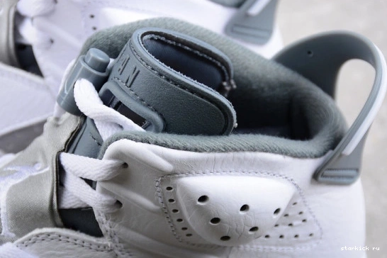 CT8529-100 Grey Cool CT8529-100 Jordan Retro 6 0309